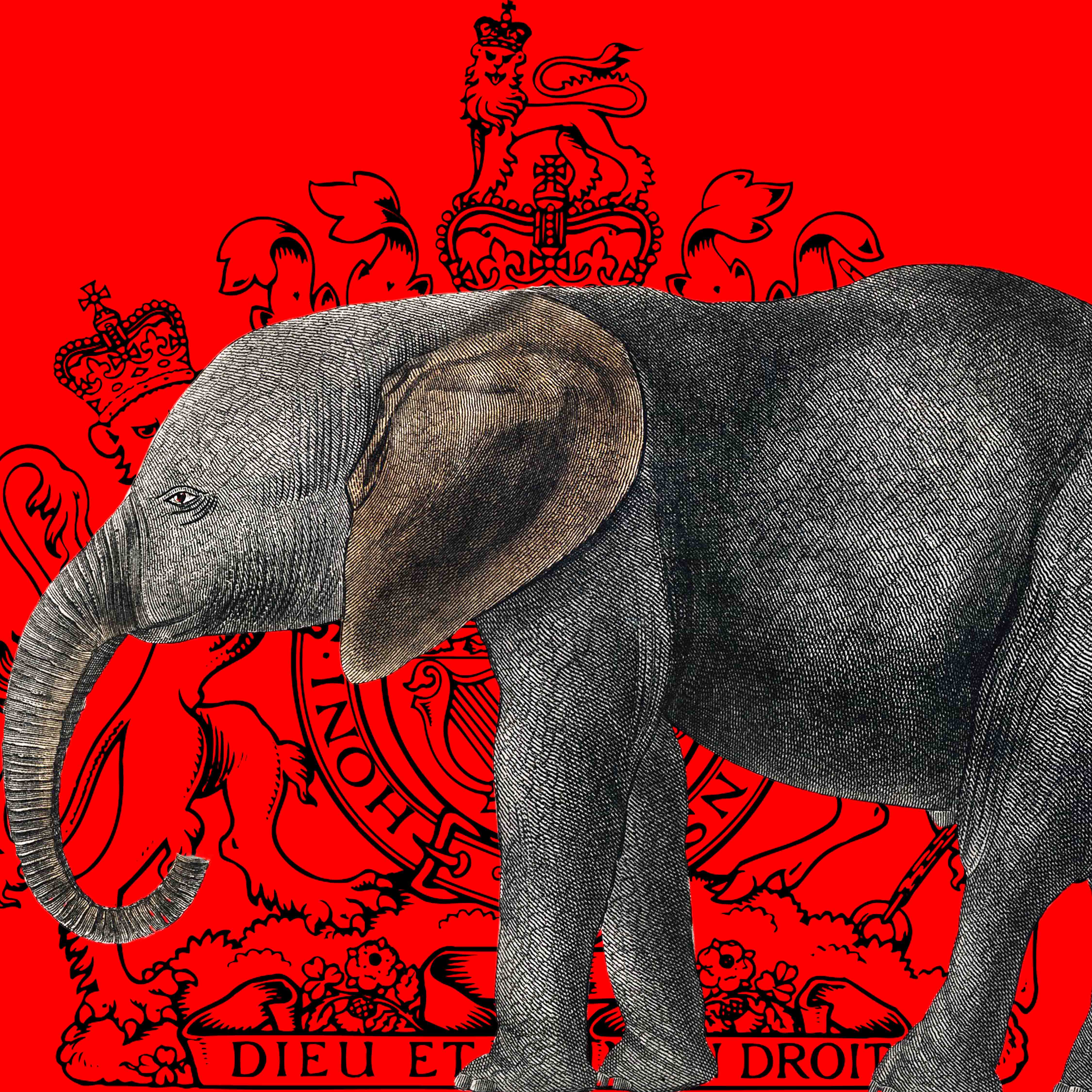 Royal Elephant Red